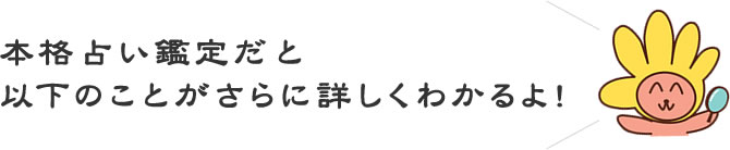 本格占い鑑定だと以下のことがさらに詳しくわかるよ。